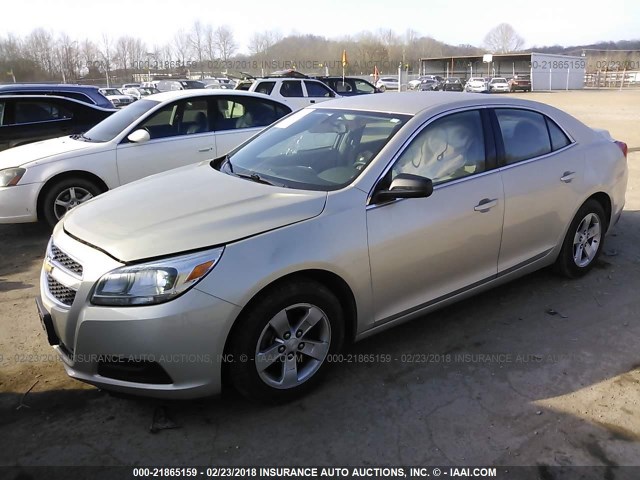 1G11B5SA0DF305947 - 2013 CHEVROLET MALIBU LS 银色 照片 2