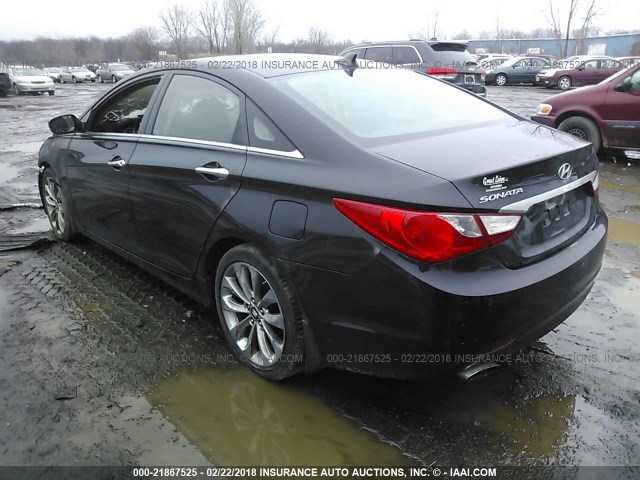 5NPEC4AC9BH117501 - 2011 HYUNDAI SONATA SE/LIMITED BLACK photo 3