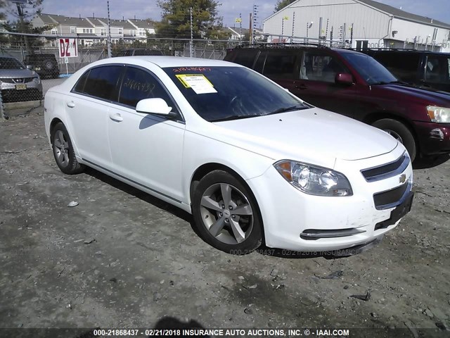 1G1ZC5E11BF391889 - 2011 CHEVROLET MALIBU 1LT 白色 照片 1