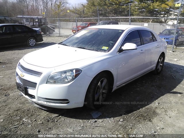 1G1ZC5E11BF391889 - 2011 CHEVROLET MALIBU 1LT 白色 照片 2