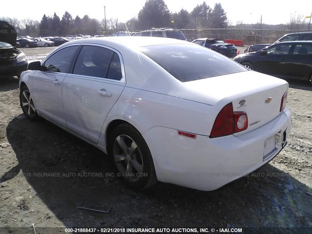 1G1ZC5E11BF391889 - 2011 CHEVROLET MALIBU 1LT 白色 照片 3