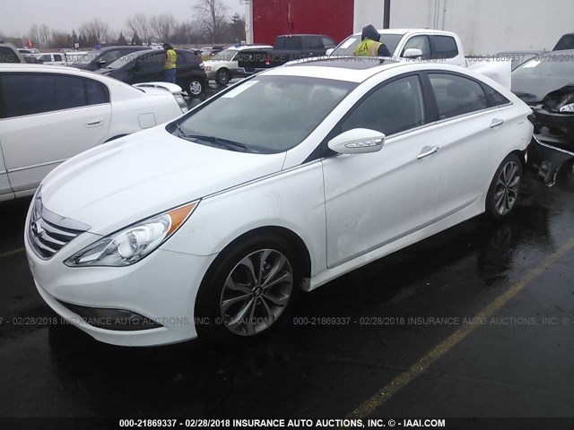 5NPEC4AB3EH822645 - 2014 HYUNDAI SONATA SE/LIMITED WHITE photo 2