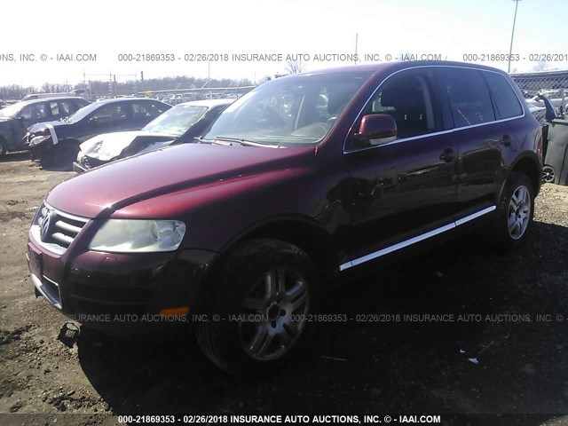 WVGZM77L56D000545 - 2006 VOLKSWAGEN TOUAREG 4.2 RED photo 2