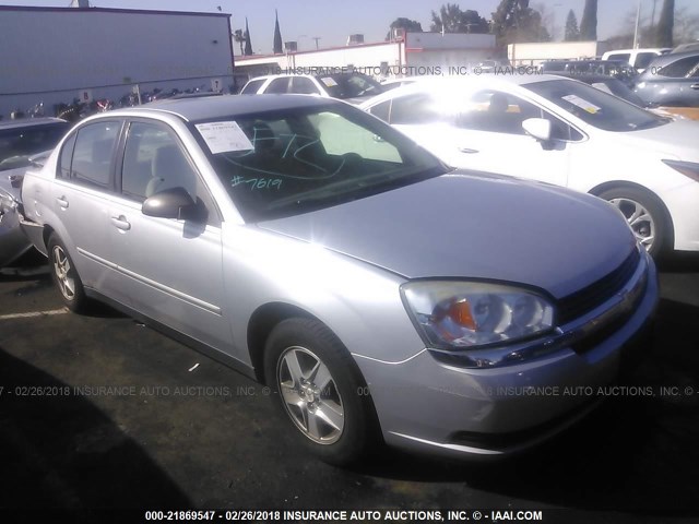 1G1ZT54835F174153 - 2005 CHEVROLET MALIBU LS ვერცხლისფერი ფოტო 1