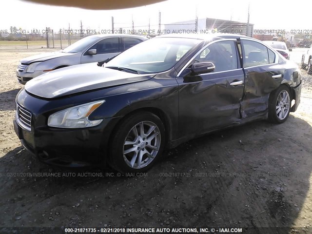 1N4AA51E89C826914 - 2009 NISSAN MAXIMA S/SV BLACK photo 2