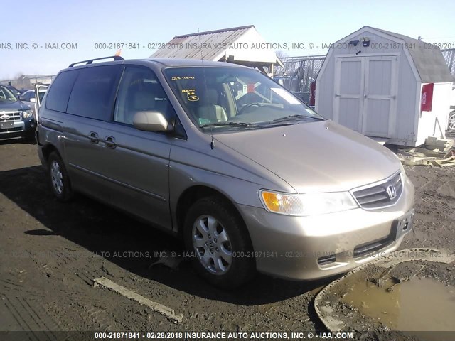 5FNRL18954B087148 - 2004 HONDA ODYSSEY EXL GOLD photo 1