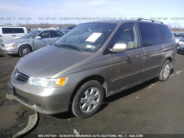 5FNRL18954B087148 - 2004 HONDA ODYSSEY EXL ოქროსფერი ფოტო 2