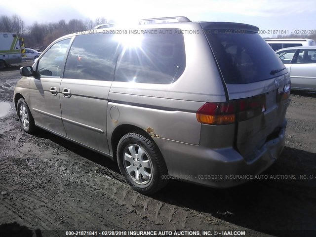 5FNRL18954B087148 - 2004 HONDA ODYSSEY EXL ოქროსფერი ფოტო 3