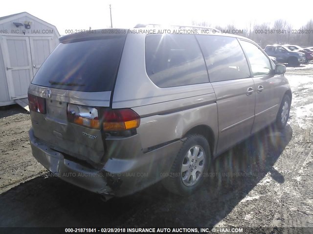 5FNRL18954B087148 - 2004 HONDA ODYSSEY EXL ოქროსფერი ფოტო 4