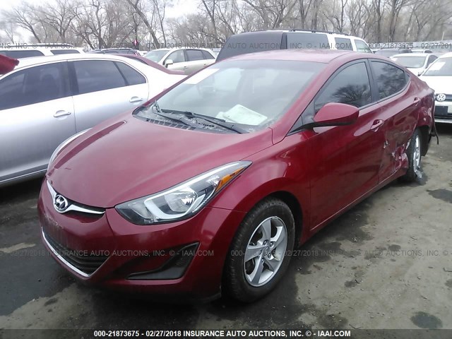 KMHDH4AE1FU223771 - 2015 HYUNDAI ELANTRA SE/SPORT/LIMITED RED photo 2