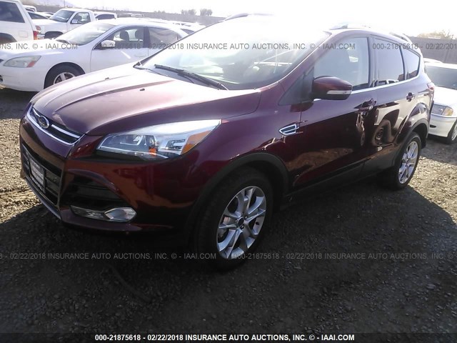 1FMCU9J95GUC59102 - 2016 FORD ESCAPE TITANIUM RED photo 2