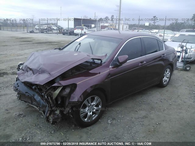 1HGCP26488A146586 - 2008 HONDA ACCORD LXP BURGUNDY photo 2