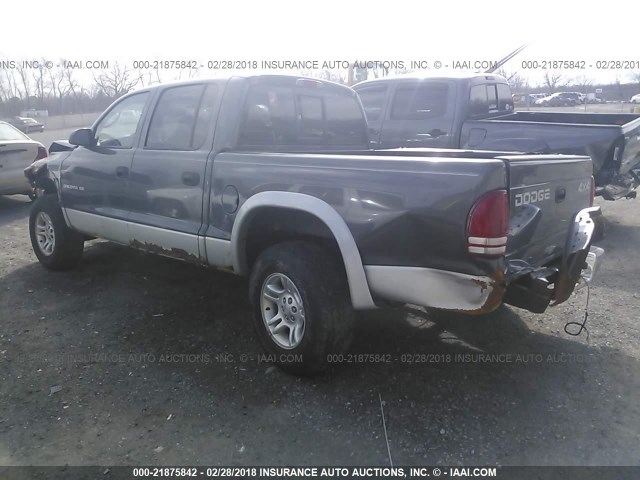 1B7HG2AN11S295555 - 2001 DODGE DAKOTA QUAD GRAY photo 3