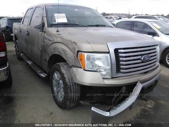 1FTEW1CM8CKE04844 - 2012 FORD F150 SUPERCREW BROWN photo 6