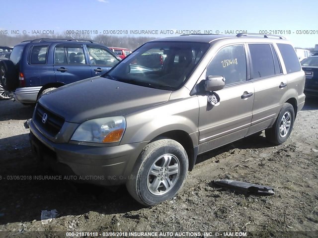 2HKYF18645H520535 - 2005 HONDA PILOT EXL GOLD photo 2