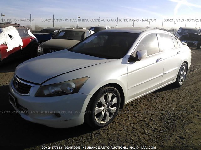 1HGCP36878A049596 - 2008 HONDA ACCORD EXL WHITE photo 2