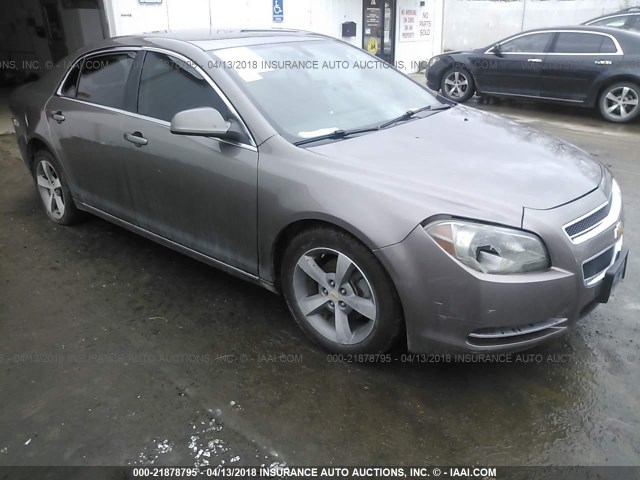 1G1ZC5EU0BF100969 - 2011 CHEVROLET MALIBU 1LT 棕色 照片 1