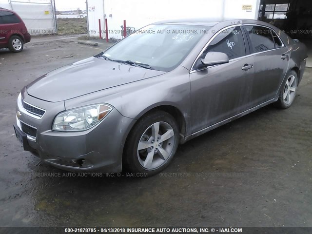 1G1ZC5EU0BF100969 - 2011 CHEVROLET MALIBU 1LT 棕色 照片 2