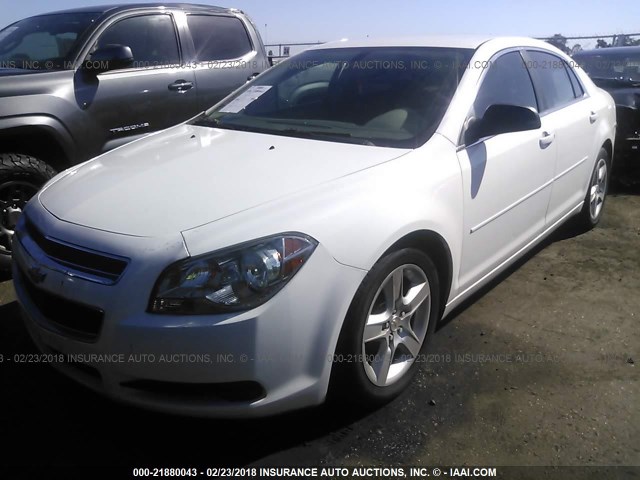 1G1ZA5EU9BF167284 - 2011 CHEVROLET MALIBU LS 白色 照片 2