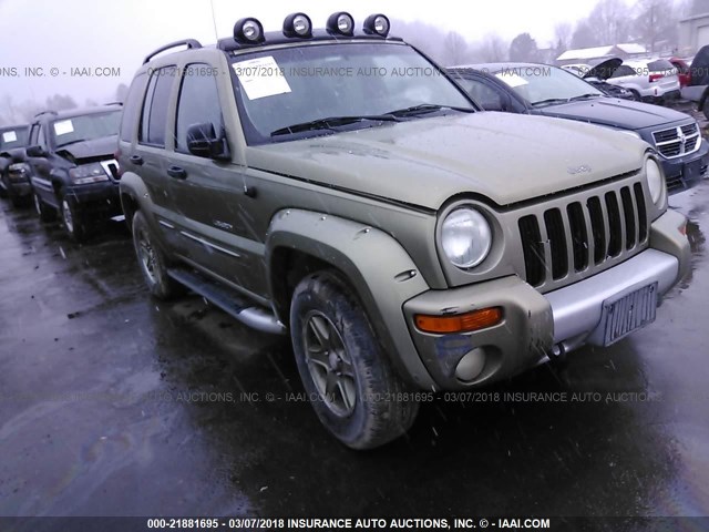 1J4GK38K32W333366 - 2002 JEEP LIBERTY RENEGADE GREEN photo 1