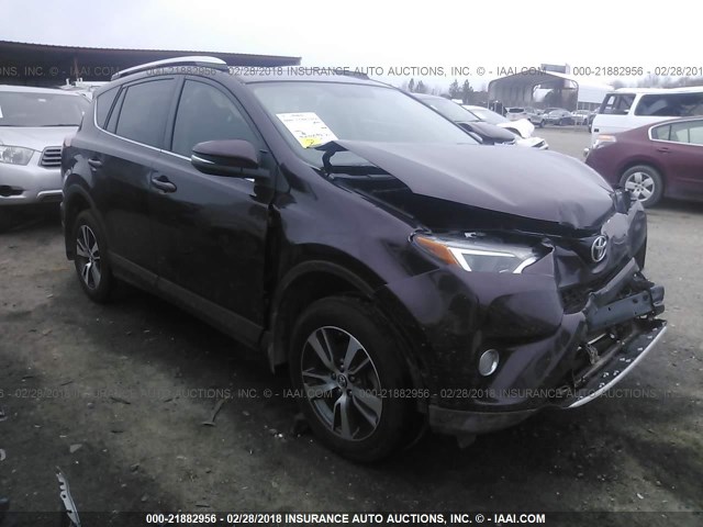 2T3WFREVXGW260087 - 2016 TOYOTA RAV4 XLE PURPLE photo 1