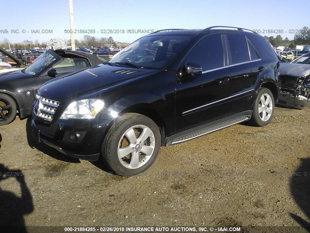 4JGBB8GB0BA657690 - 2011 MERCEDES-BENZ ML 350 4MATIC BLACK photo 2