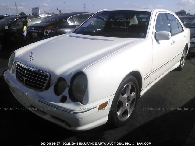 WDBJF70J02B489039 - 2002 MERCEDES-BENZ E 430 WHITE photo 2