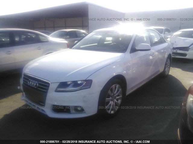 WAUAFAFL4CN008052 - 2012 AUDI A4 PREMIUM WHITE photo 2