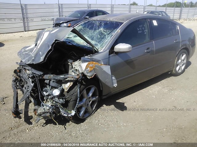 1N4BA41E75C825505 - 2005 NISSAN MAXIMA SE/SL SILVER photo 2