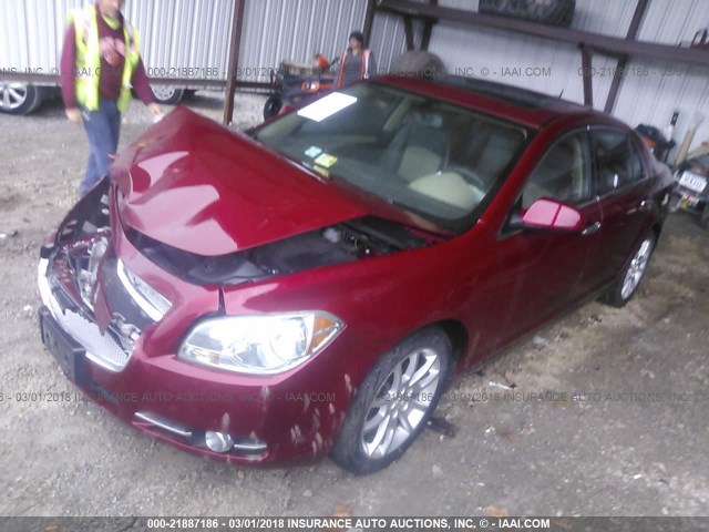 1G1ZK57709F241335 - 2009 CHEVROLET MALIBU LTZ 栗色 照片 2