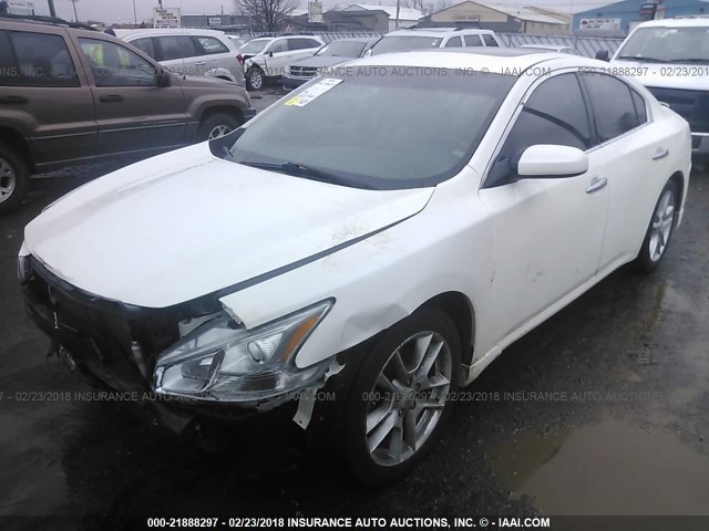 1N4AA51E69C821856 - 2009 NISSAN MAXIMA S/SV WHITE photo 2