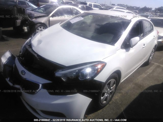 KNAFK4A64G5560791 - 2016 KIA FORTE LX WHITE photo 2