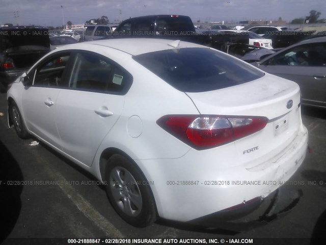 KNAFK4A64G5560791 - 2016 KIA FORTE LX WHITE photo 3