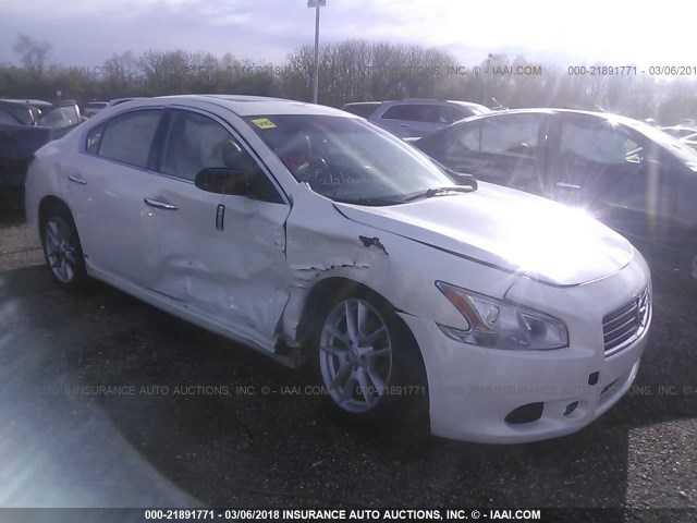 1N4AA5AP3AC866470 - 2010 NISSAN MAXIMA S/SV WHITE photo 1