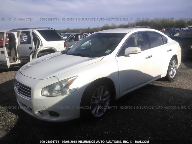 1N4AA5AP3AC866470 - 2010 NISSAN MAXIMA S/SV WHITE photo 2