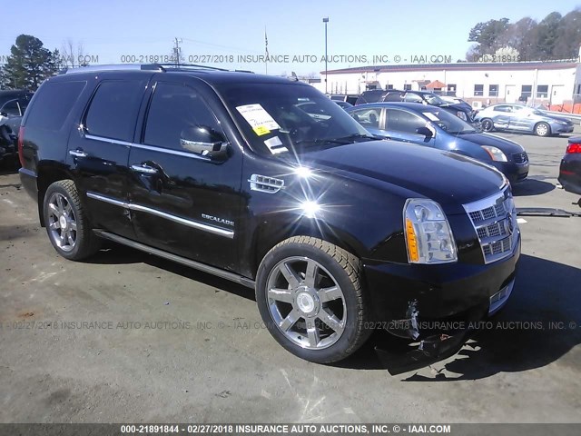 1GYUKDEFXAR159129 - 2010 CADILLAC ESCALADE PLATINUM BLACK photo 1