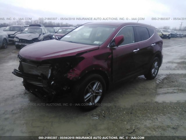 5XYZTDLB6JG539124 - 2018 HYUNDAI SANTA FE SPORT  RED photo 2