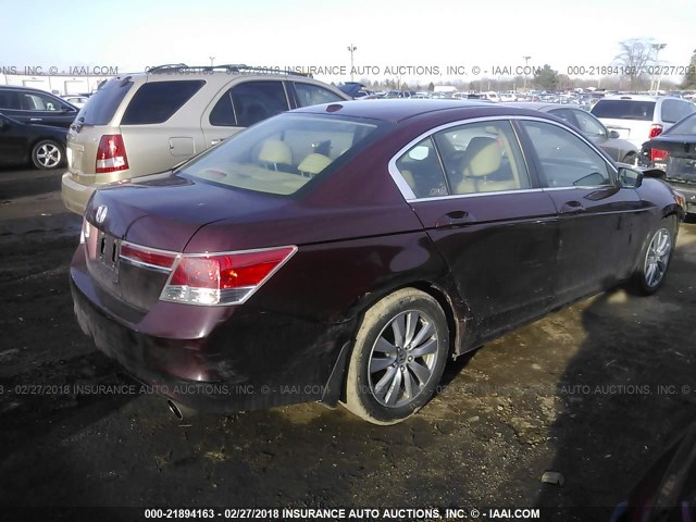 1HGCP2F84BA057902 - 2011 HONDA ACCORD EXL MAROON photo 4