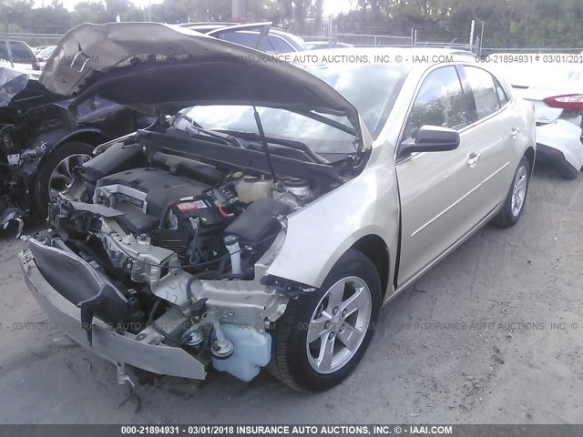 1G11B5SA6DF296123 - 2013 CHEVROLET MALIBU LS 金色 照片 2