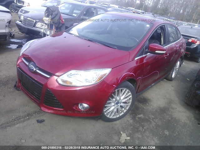 1FAHP3H22CL462705 - 2012 FORD FOCUS SEL RED photo 2