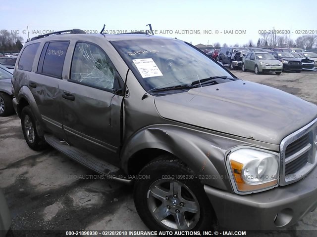 1D4HB58D25F624908 - 2005 DODGE DURANGO LIMITED GOLD photo 6