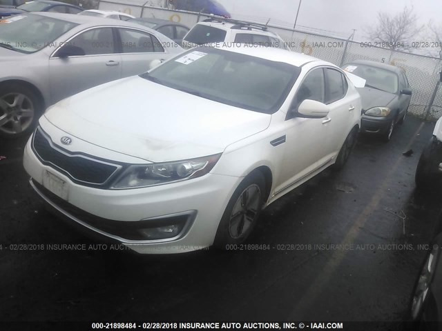 KNAGM4AD0D5045005 - 2013 KIA OPTIMA HYBRID WHITE photo 2