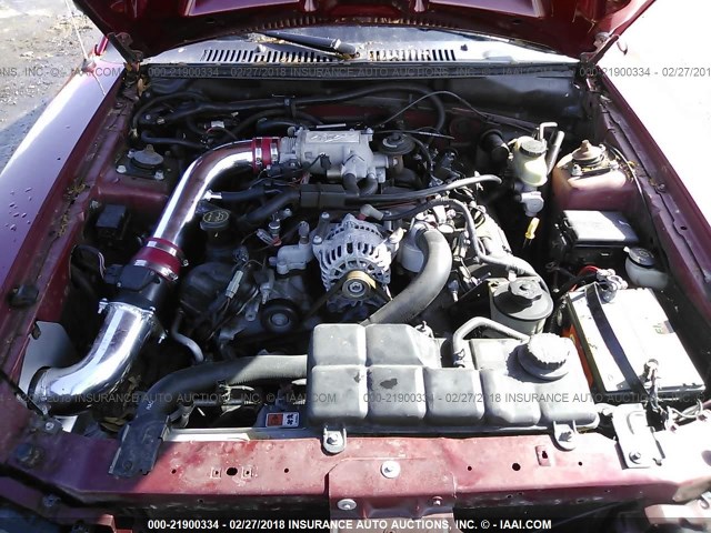 1FAFP42X23F445841 - 2003 FORD MUSTANG GT RED photo 10