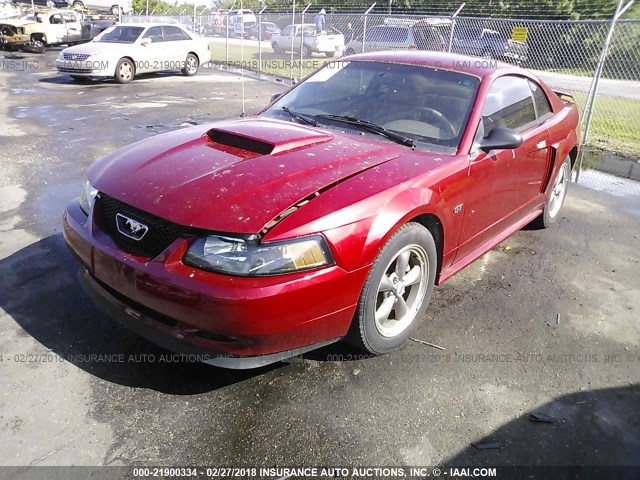 1FAFP42X23F445841 - 2003 FORD MUSTANG GT RED photo 2