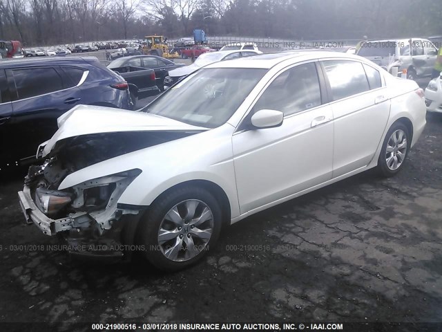 1HGCP3F89AA001958 - 2010 HONDA ACCORD EXL WHITE photo 2