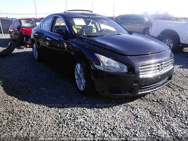 1N4AA51E29C811079 - 2009 NISSAN MAXIMA S/SV BLACK photo 1