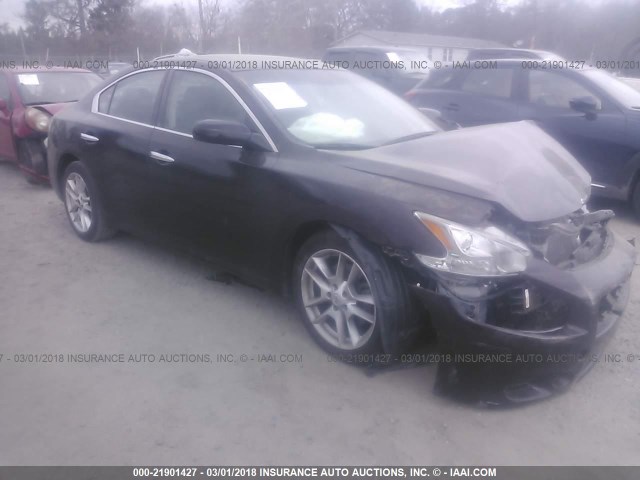 1N4AA5AP0EC455842 - 2014 NISSAN MAXIMA S/SV PURPLE photo 1