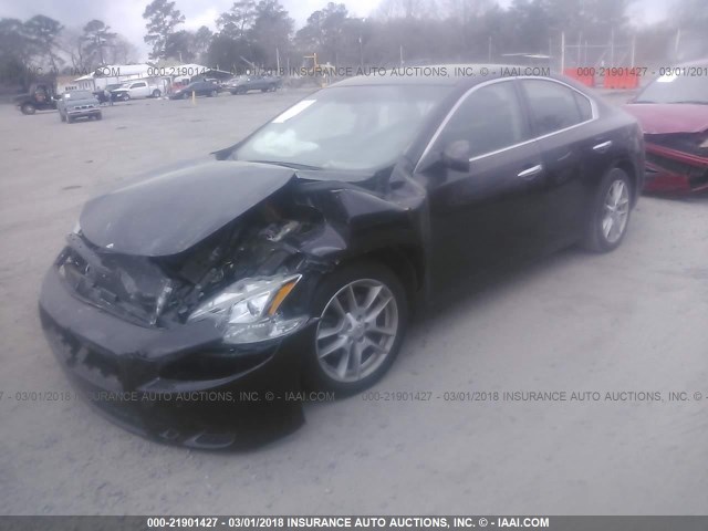 1N4AA5AP0EC455842 - 2014 NISSAN MAXIMA S/SV PURPLE photo 2