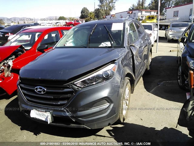 KM8J23A44GU097512 - 2016 HYUNDAI TUCSON SE GRAY photo 2