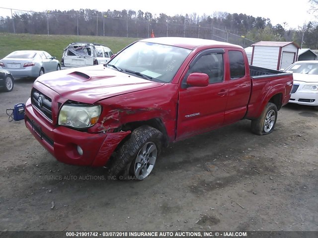 5TEUU42N16Z147197 - 2006 TOYOTA TACOMA ACCESS CAB Կարմիր լուսանկար 2